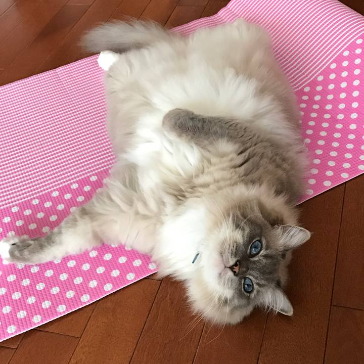 B5b7e3b8 a659 47e4 b3e6 09389893d2d1 1508740496210