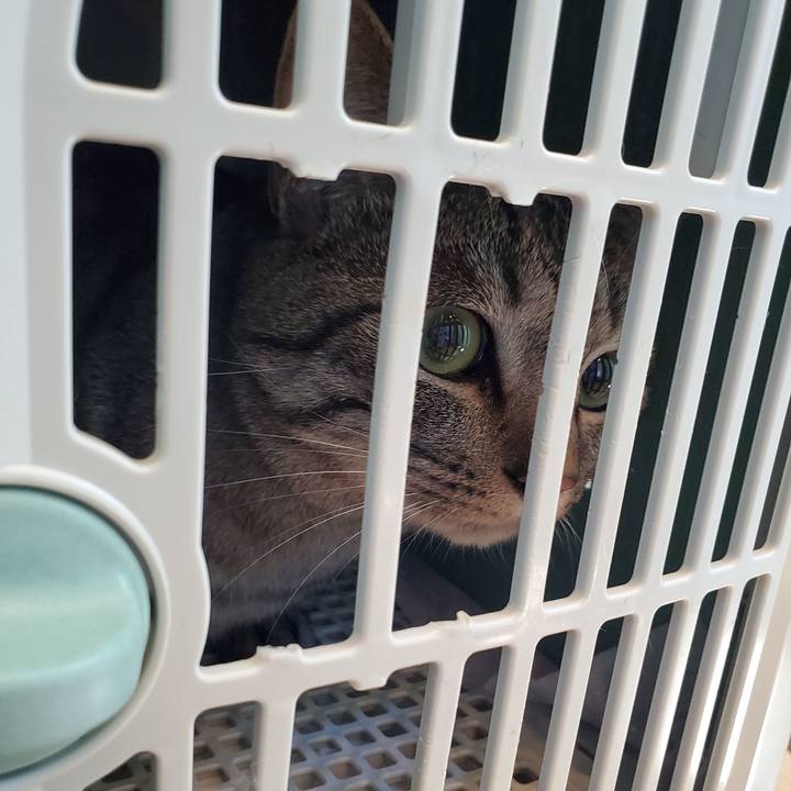 B5b7f8e9 6af1 46c7 9265 2ba2c2fda86d 1721362630257