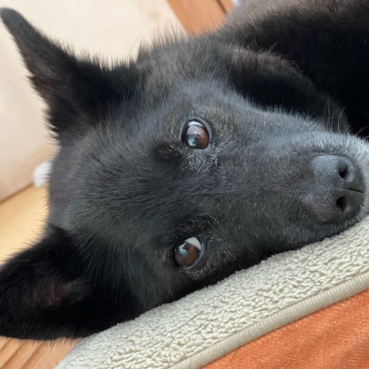 B5b808c2 adc4 4747 85e9 0a4da971c8b7 1752887546948