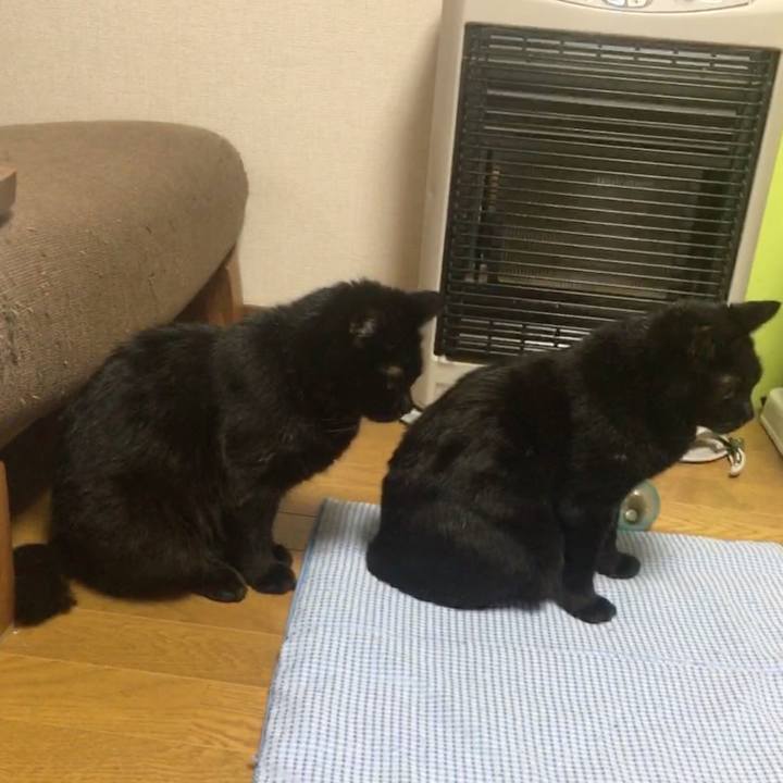 B5b84e1b 0d10 4a3e 9249 14c162a54466 1543318122063