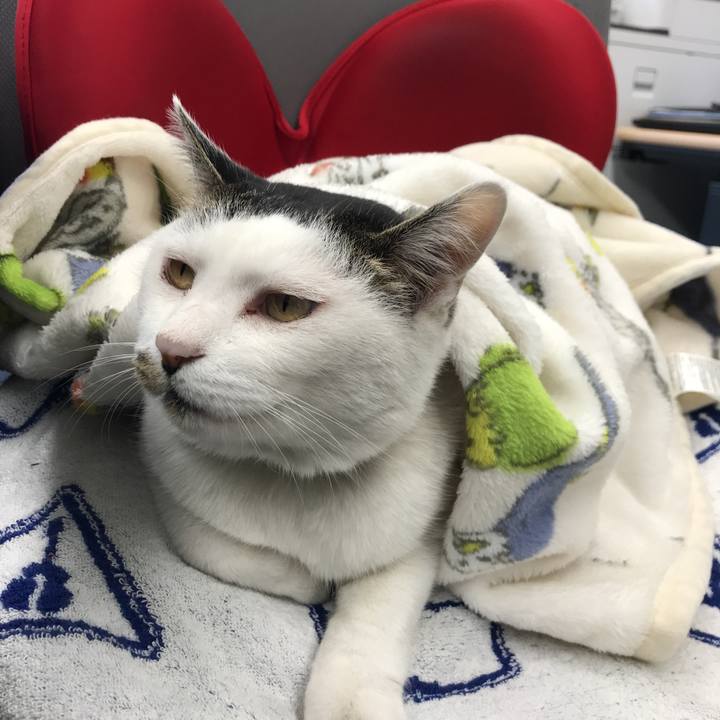 B5b89189 aa9a 48b8 99d6 2febb4e79a3d 1575001626472