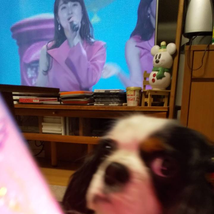 B5b8be5f 3d4c 4d09 a905 ab53fc2c7196 1575971617721