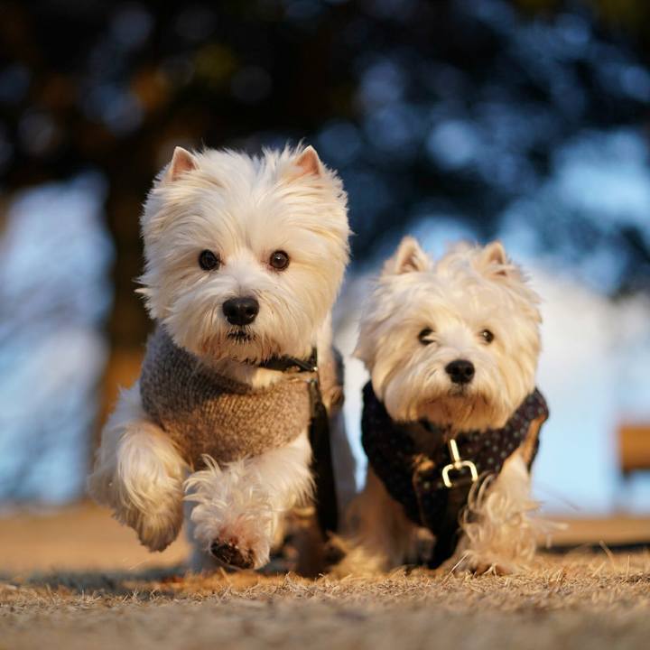 B5b8d597 60ca 4805 a07a 32e7eb7753a3 1518095783974