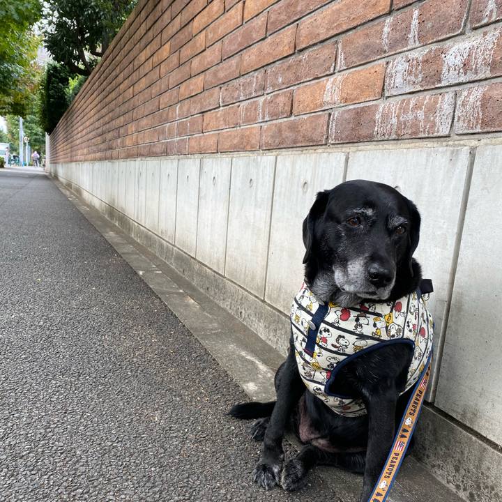 B5b8dc95 ee5a 4e33 91c8 eb7f3afb4598 1635126961307