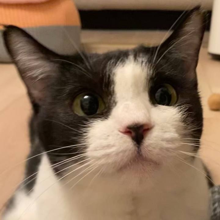 B5b8e8e5 f335 4a85 b9d2 f00f78e8fafc 1715075191349