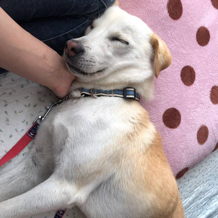 B5b8f8fb 0c80 418a 8bd8 32796d42c4f0 1623326103290