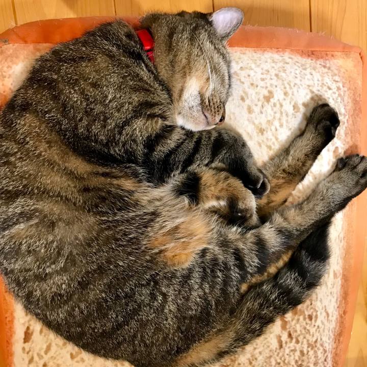 B5b91f4a 0b43 4fca 8939 e9f34b61de08 1560990736951