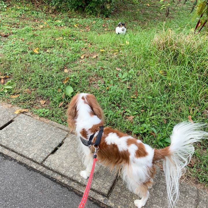 B5b92d7c 1a53 46ac b356 68421cbbe4f0 1570347409322