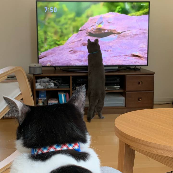 B5b93123 78d9 43ac 9f62 87007c8283e9 1601766187246