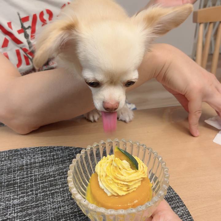 B5b99f7d b254 43ad be7d 4e11753acc1d 1728907964501