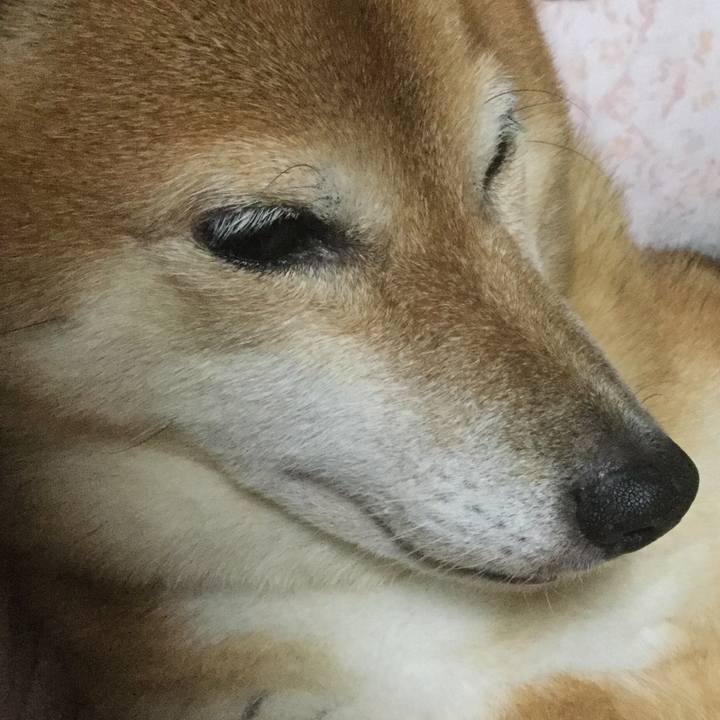 B5b9b7e5 b9fd 40ed b72a e0b1bd6d25b7 1571145153825