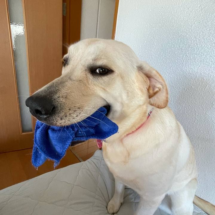 B5b9e58a d4cd 42e0 bbbb c172e8bb14a2 1633303301949