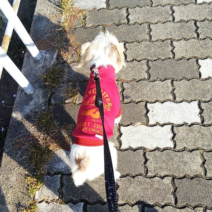 B5b9f963 b13b 422d 8da0 fdf556caf1e7 1573949059522