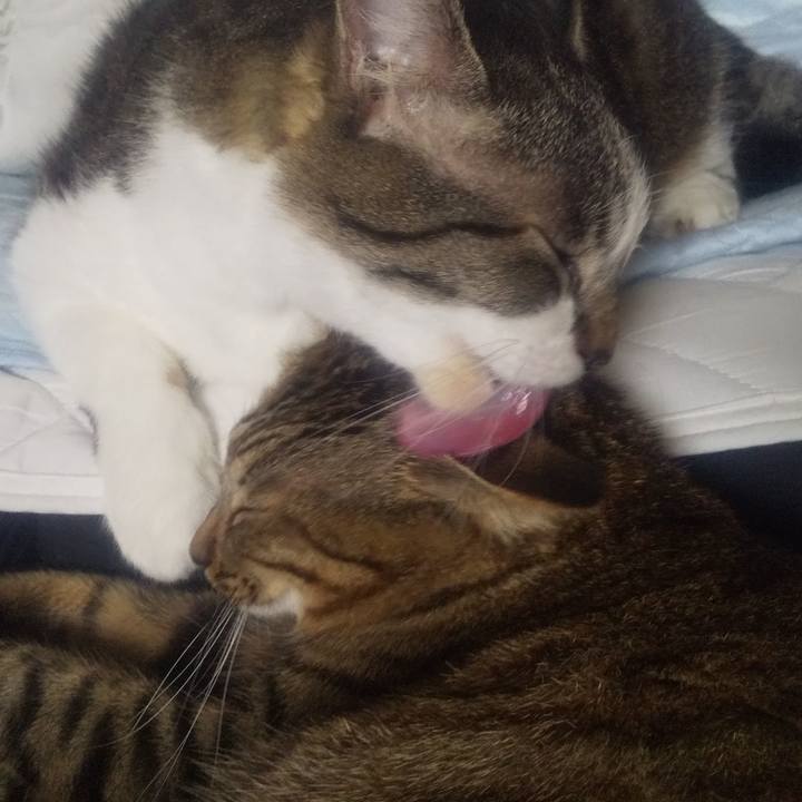 B5bafd65 1e9e 4e10 a6c7 536ea8f9ef32 1692073349385