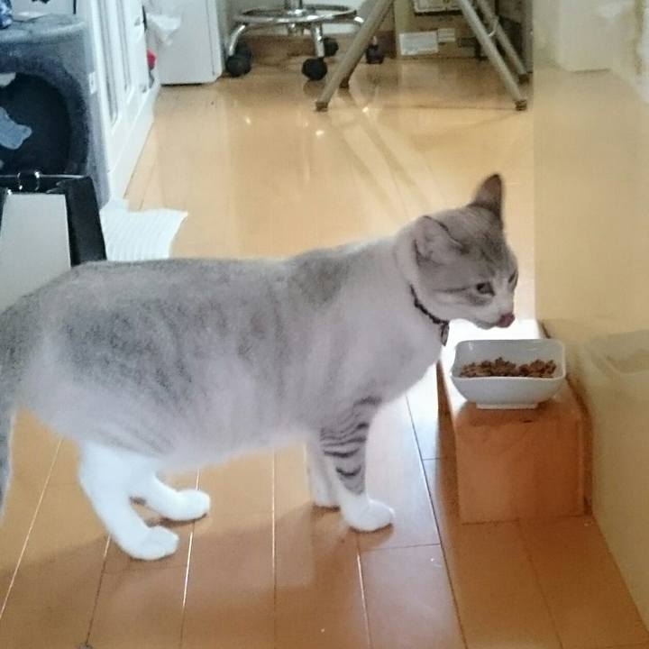 B5bb6d8e a86e 4611 9c54 bfd0ada37a9c 1529035133087