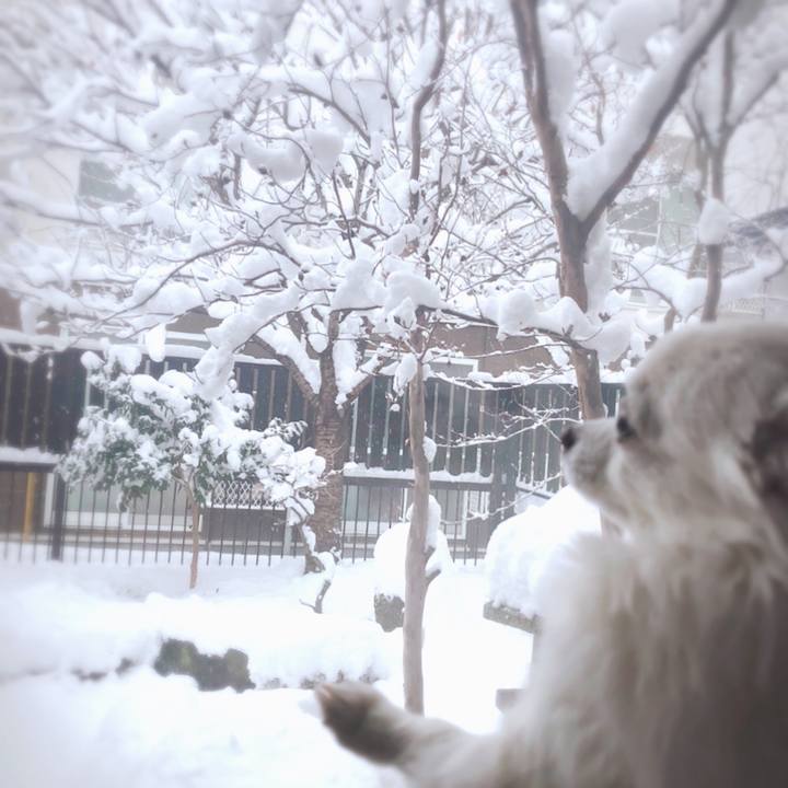 B5bb72f7 8440 4c3a 8025 8587c0126f3e 1608008340210