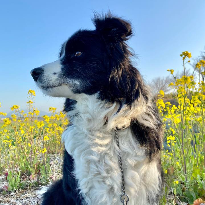 B5bb77eb 877a 44dc a5e0 3fc9d62452c9 1646261122652