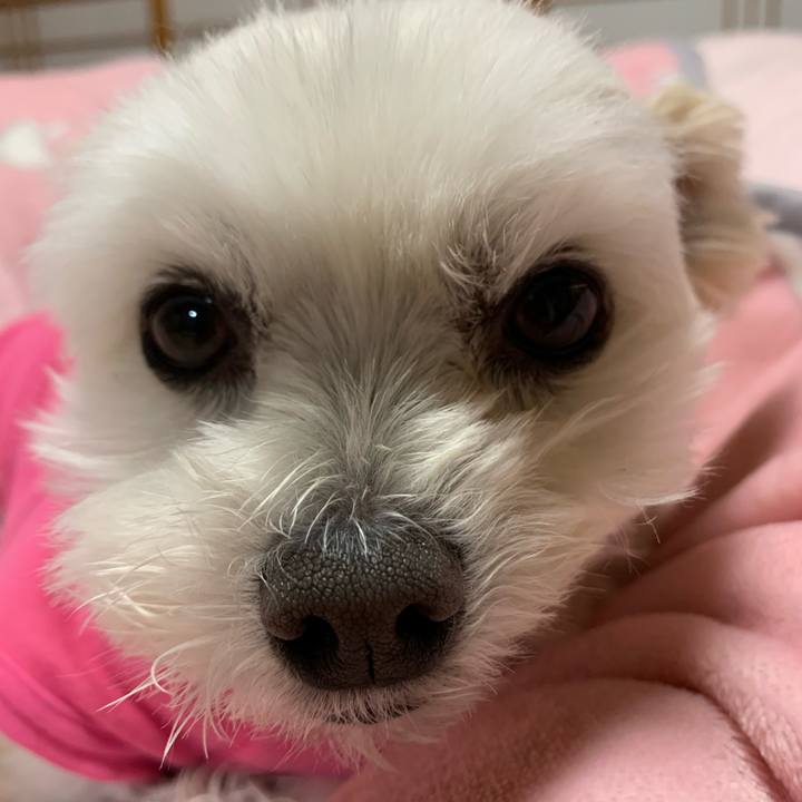 B5bba2e0 18eb 4032 973b dc6055fab0a4 1610363488235