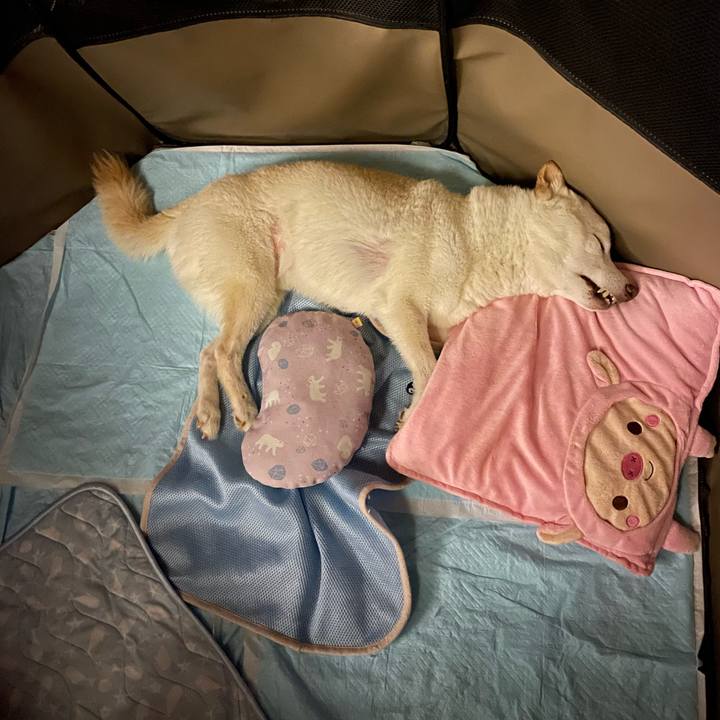 B5bbadbf 0c7f 478a 8d77 5e9afc34543f 1660845966319