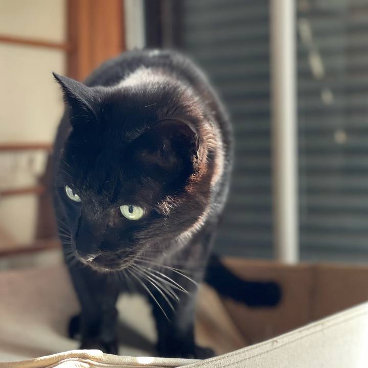 B5bbd876 aaf9 4514 8870 eb109a51eaa9 1650850987957