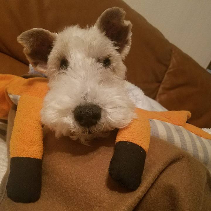 B5bbf68d e511 46d0 aeb2 d018c4c6bfcc 1577713151207