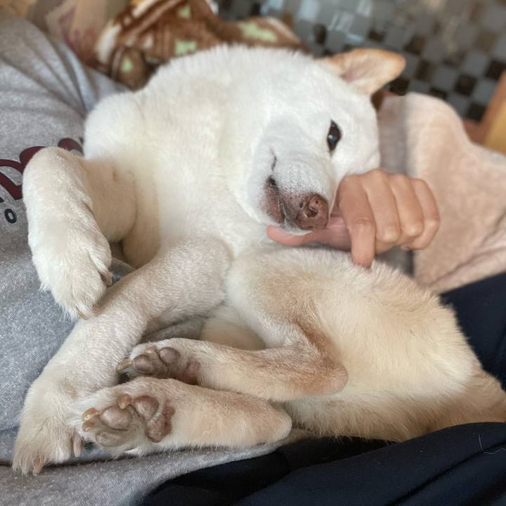 B5bc0f84 a4e8 4d00 b240 1702f8de5124 1646110950641