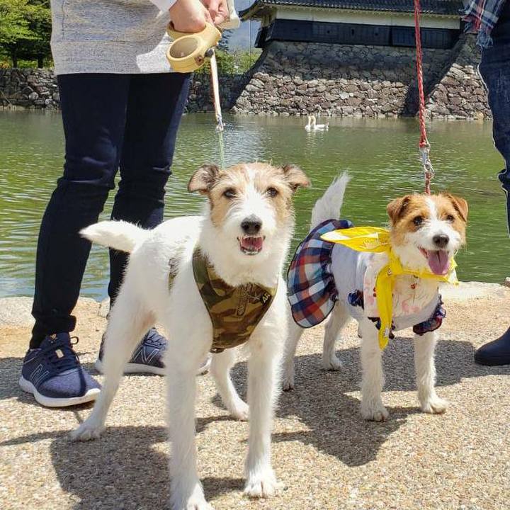 B5bc299d 5070 4321 9557 0df20308f633 1613991358368