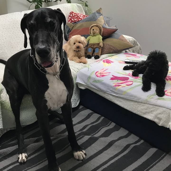 B5bc66c7 f03f 483e 92b7 f41a619aea45 1536704279089