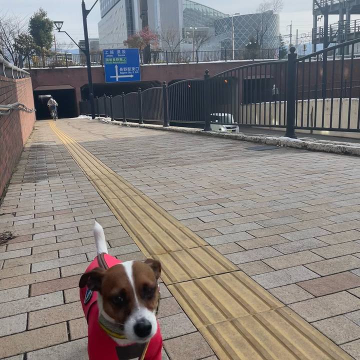 B5bc88e5 aee0 4658 b9ee 9e302c75bc73 1643090604212