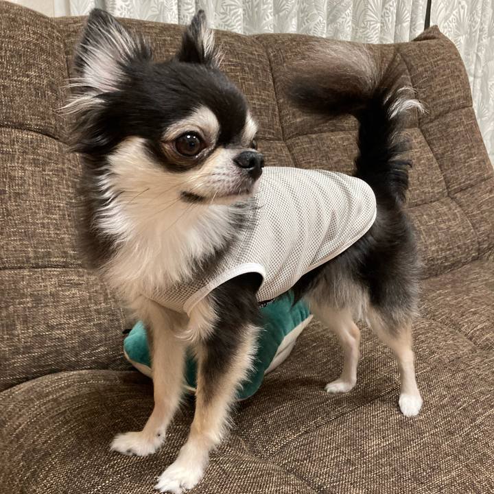 B5bc9780 d65f 41ce 917e 9ac95ee8302d 1693666062000