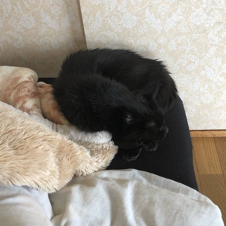 B5bd22a0 8324 4d88 ad1e 147ec5ce1ebe 1632366122412