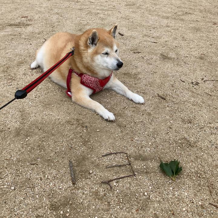 B5bd65e6 b53c 488d 85ef e58b72e6e8ee 1652232412409