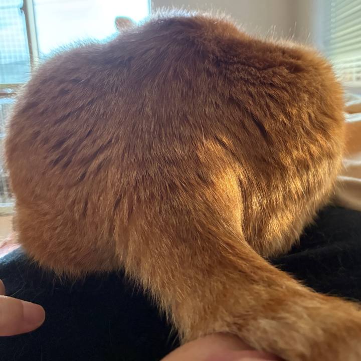 B5bd936b 3cdb 4902 b88c 9ddb80ef1174 1752351874451