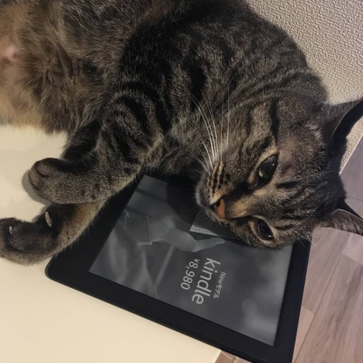 B5bdd256 a333 429d aab4 320c6eae8872 1559029136699