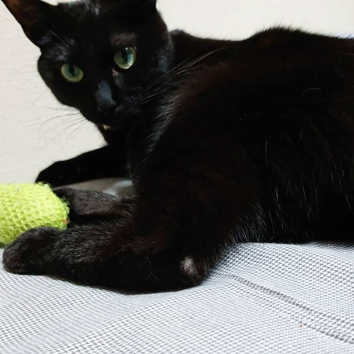 B5bdec0d e3a3 4b80 9ab7 420e90a3f472 1553297195922