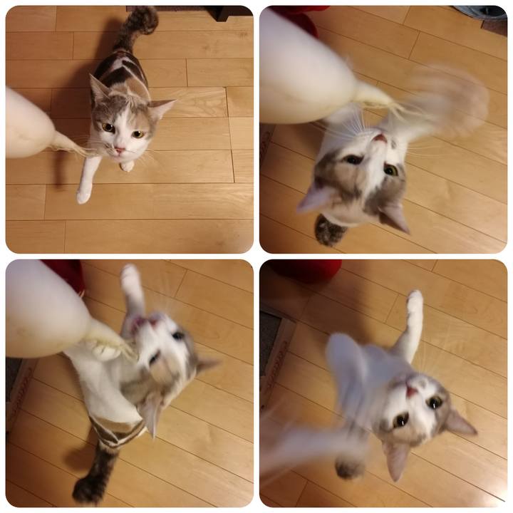 B5be2f82 c721 4cb7 b2ba 4a4b6f63d027 1545224523720