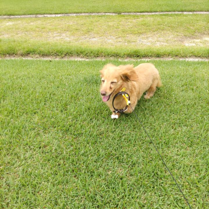 B5be5a56 7615 4055 bfe4 b8dca4d0b35c 1656205912037