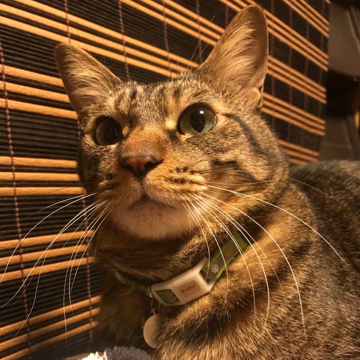 B5be6b08 7d22 40b7 9079 dc5c14437993 1605269912483