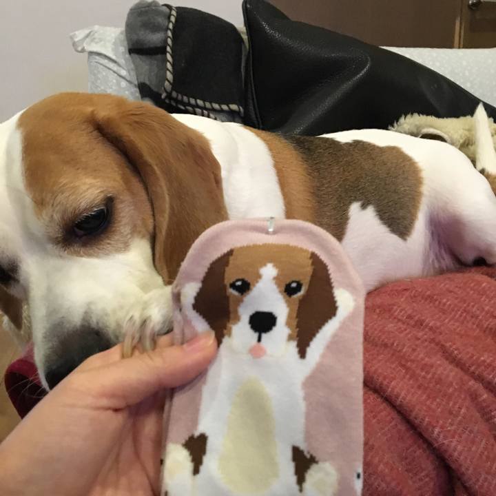 B5be744a 58a0 49b4 a355 36f9cb98331b 1514943633864