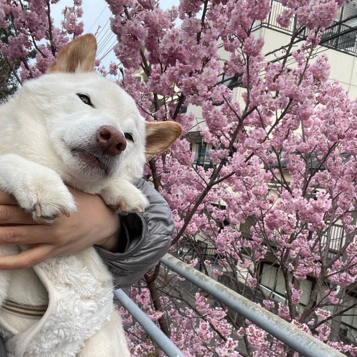 B5be74f9 5a68 4642 8b59 66e3f7e05255 1646607270626