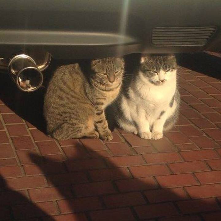 B5be847a 7083 4bdd bfdb 84a854962ec5 1590888040662