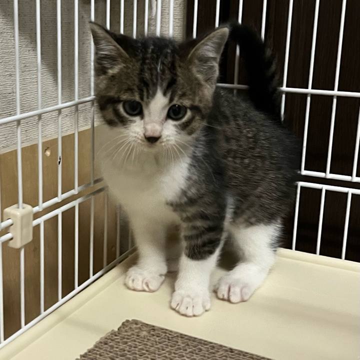 B5be97df e478 41e0 8725 46ec8fc13d70 1764898786493