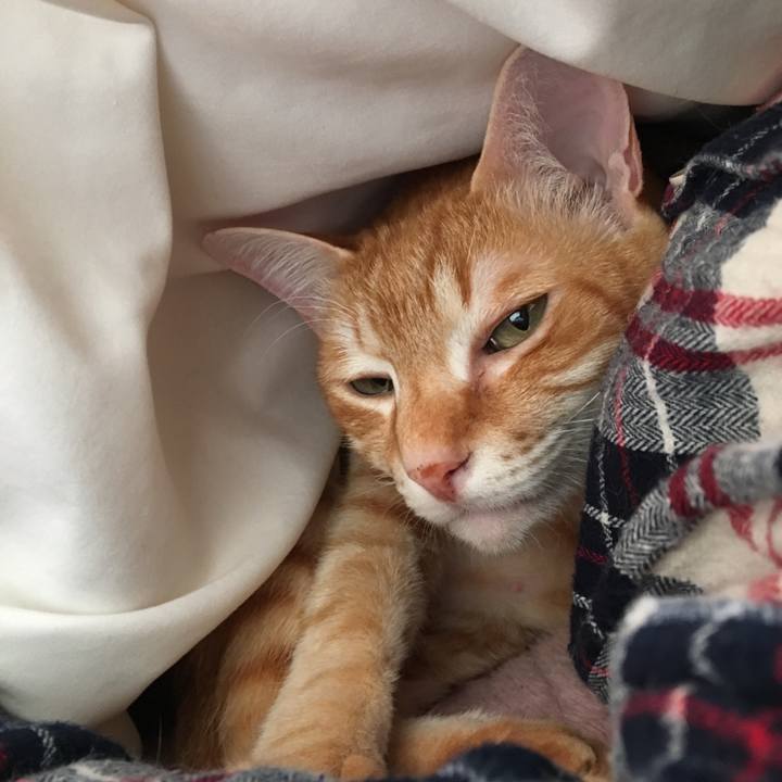 B5be9ccb 6212 47cc 8ae2 8845ef7ed031 1550966765025