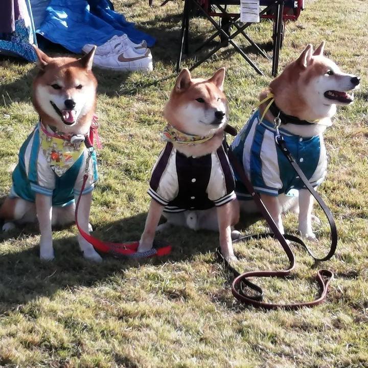 B5bea6a5 c710 40ec 98b6 aea6fafb033c 1636298423809