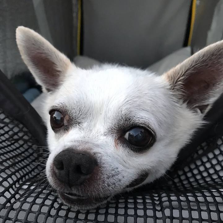 B5bec418 aa74 4e3c a35d 67260bb1c724 1665446151920