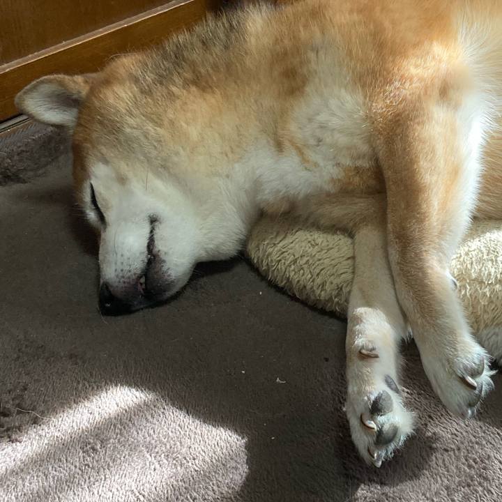 B5bec4a2 7dab 47c0 8fcb a7d7dda92597 1696914266615