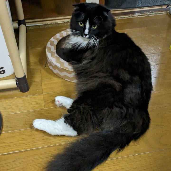 B5bee526 ebf1 489c 8619 e08adfd54d31 1679573052356