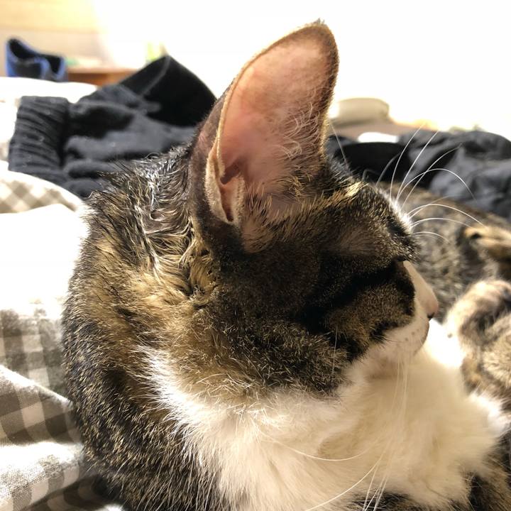 B5bef7a9 7a3a 4f8c a71f 535c94f373c4 1514824440694