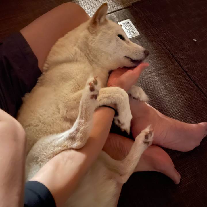 B5bf0b42 6262 4289 a32e bc334bbaebc4 1659024276855