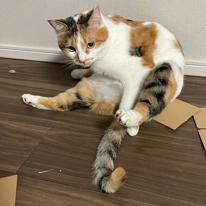 B5bf2972 aed4 4ab6 8c16 9f30d5f5cb12 1611068593880